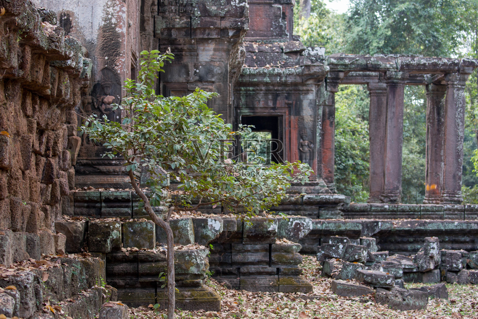 柬埔寨,吴哥窟照片摄影图片