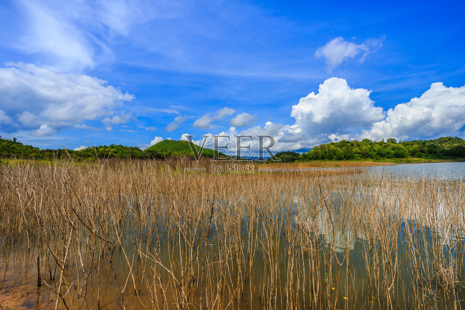 美丽的亚洲雨季水库照片摄影图片