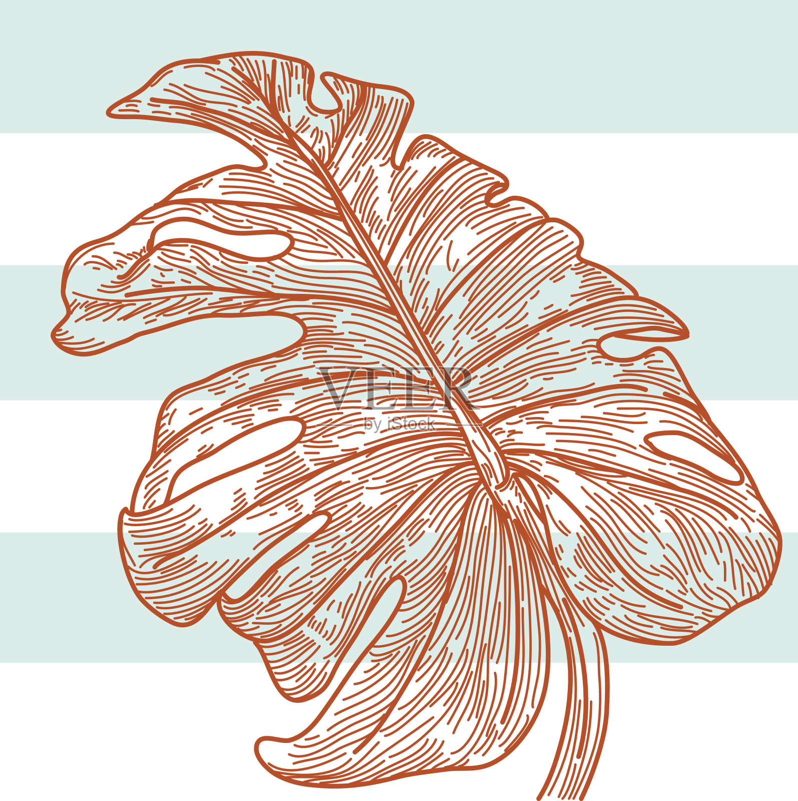 Monstera Leaf -航海条纹插画图片素材