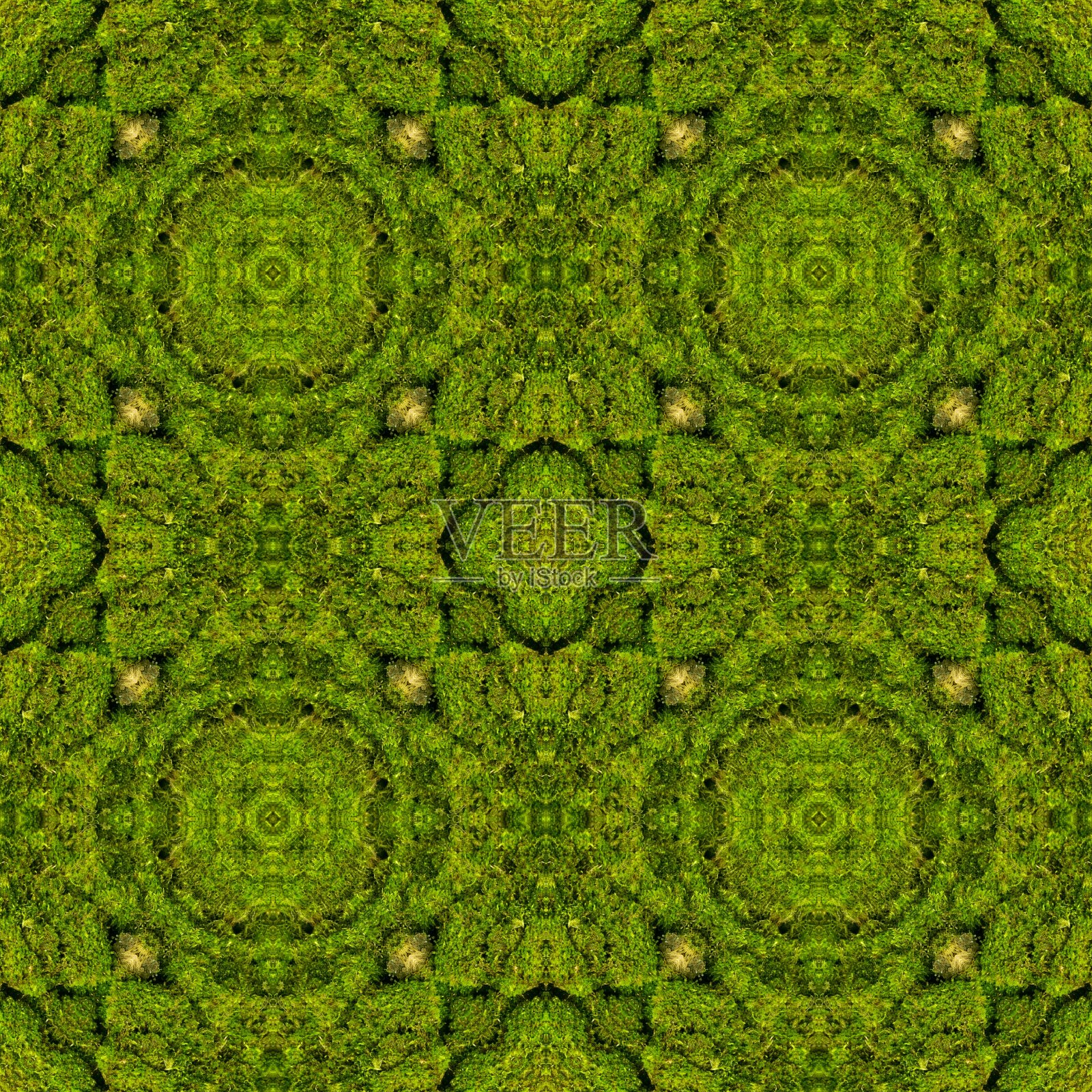 摘要装饰青苔背景。无缝模式。照片摄影图片