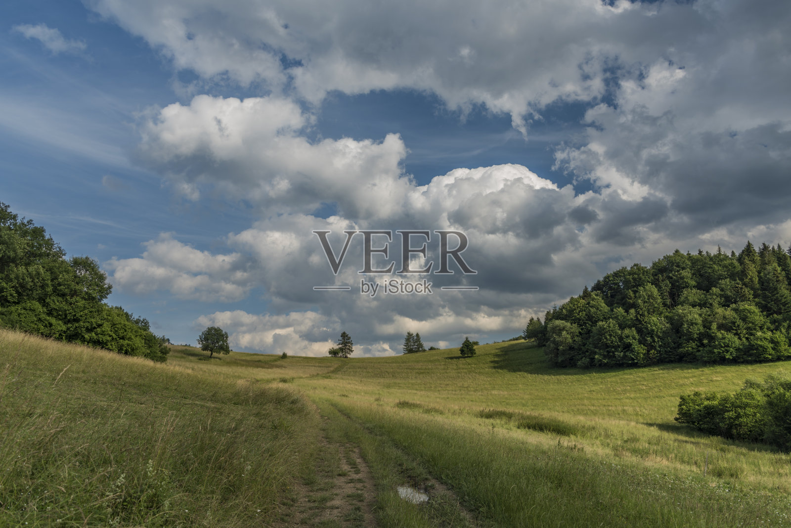 莱斯尼卡村夏日阳光明媚照片摄影图片