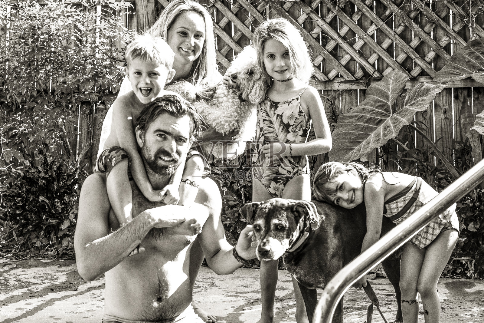 整个帮派照片摄影图片