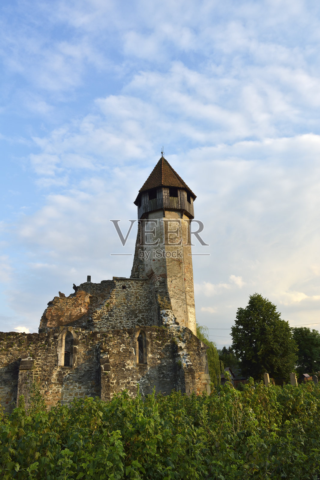 Cirta修道院是位于特兰西瓦尼亚南部的一个前西多会(本笃会)修道院。该修道院大概是在1202-1206年由修道院(Pontigny修道院的女儿之家)的僧侣们建立的。照片摄影图片