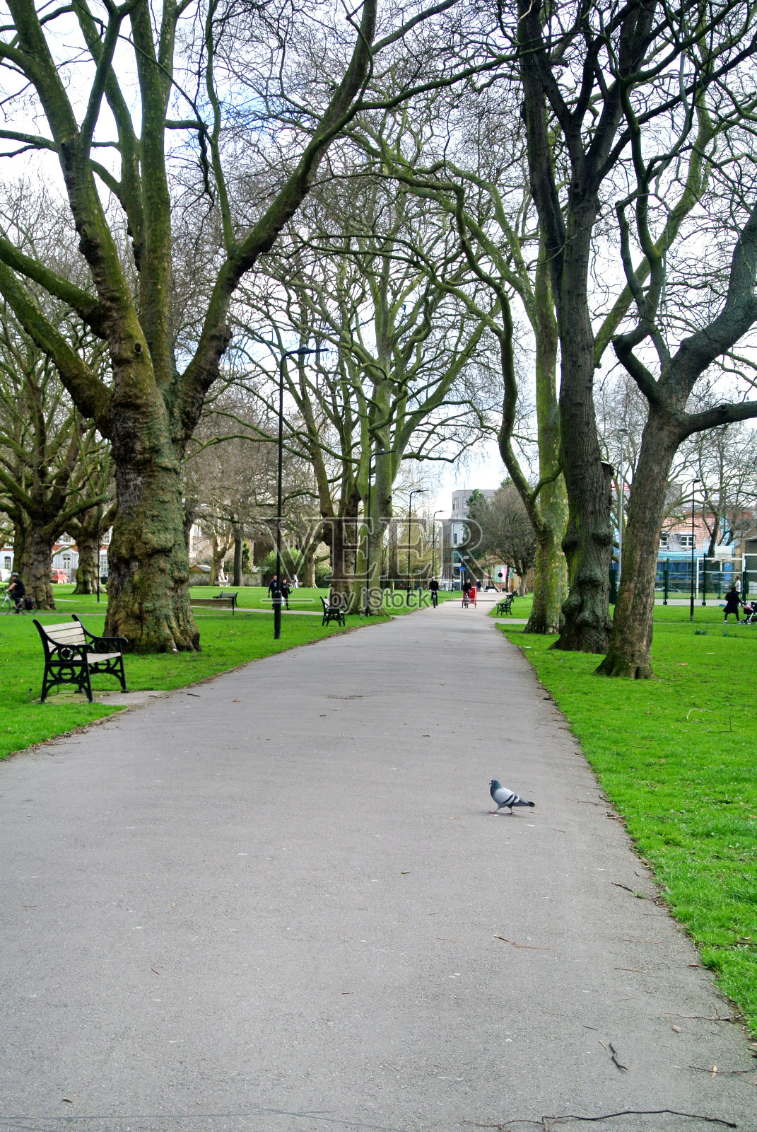 伦敦菲尔兹公园的大街照片摄影图片