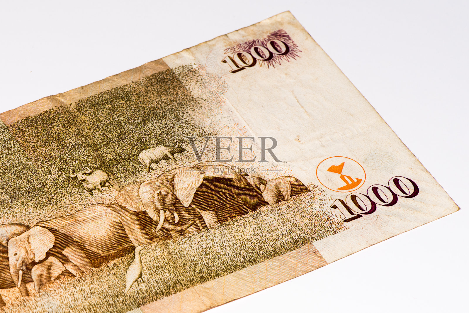 非洲的货币钞票照片摄影图片