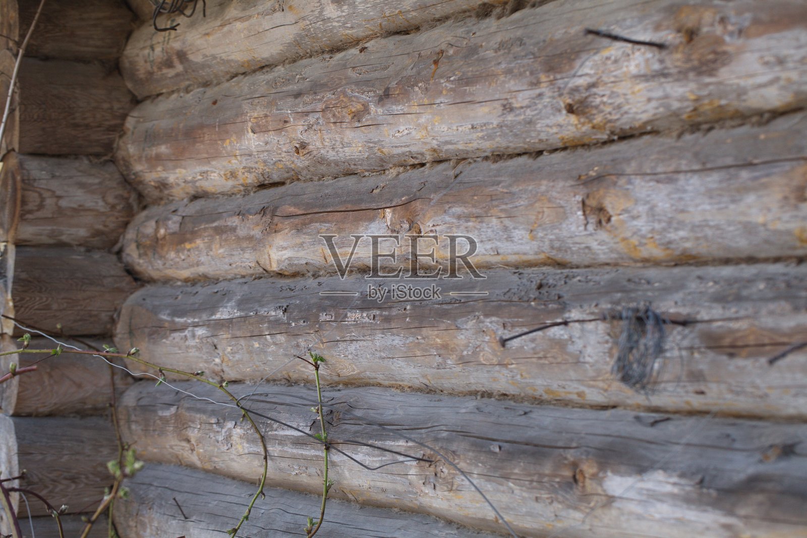 房子的墙木照片摄影图片