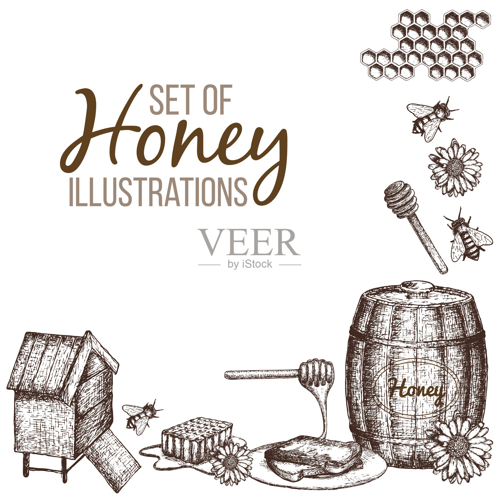 蜂蜜插画合集插画图片素材