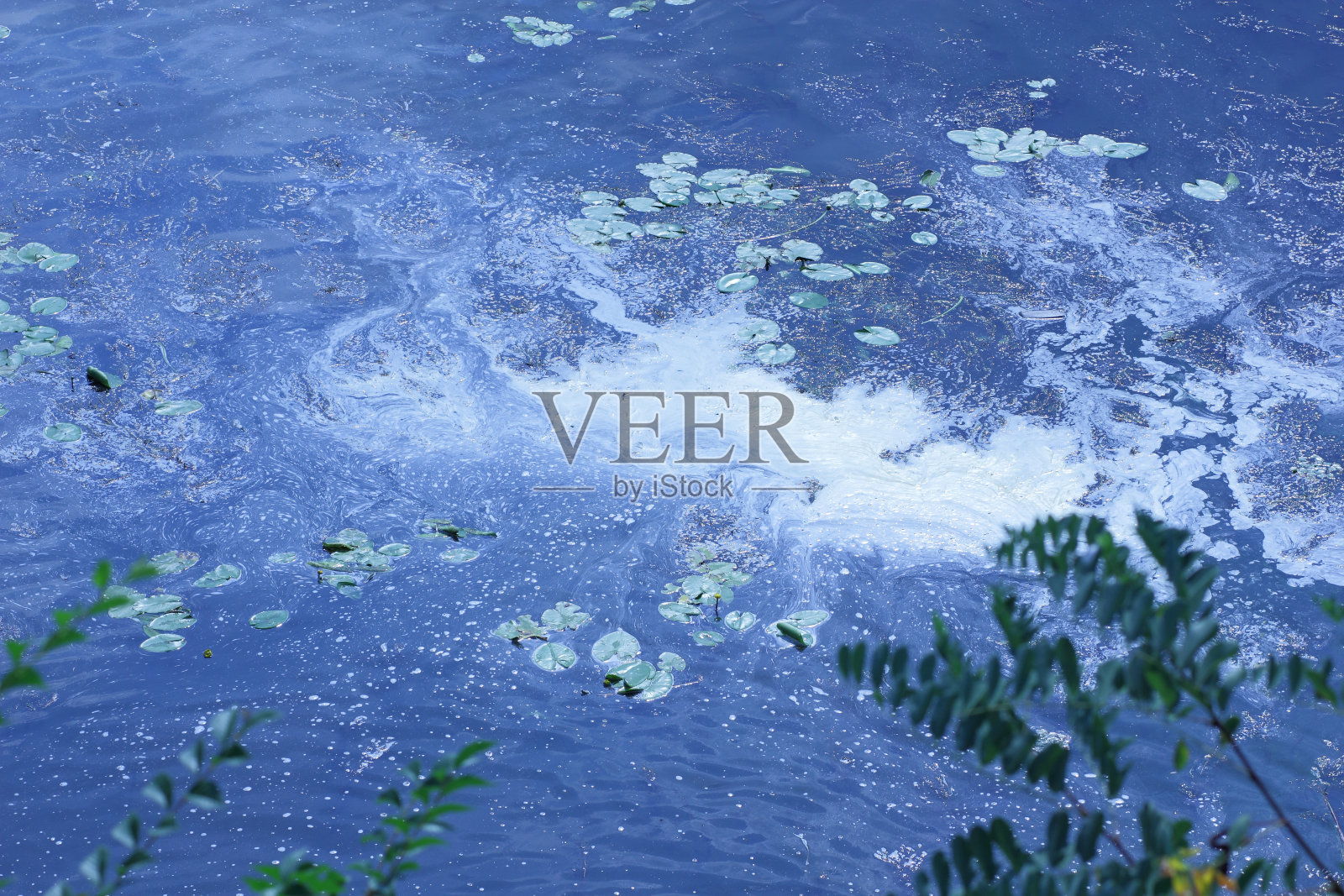 绽放的绿水——全球变暖的后果照片摄影图片