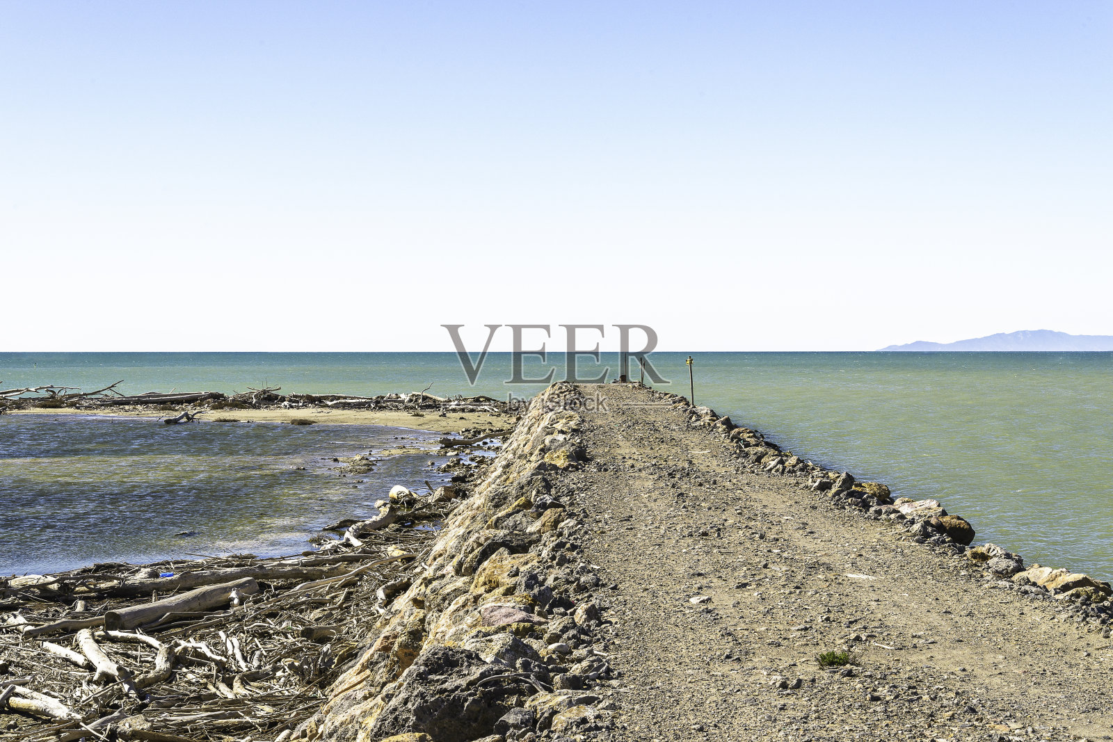 近海岸沼泽地公园海滩照片摄影图片