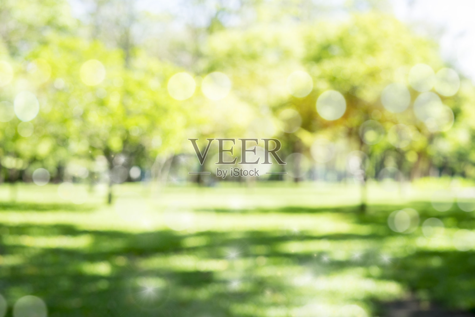 散焦散焦的背景花园树木在阳光明媚的日子照片摄影图片