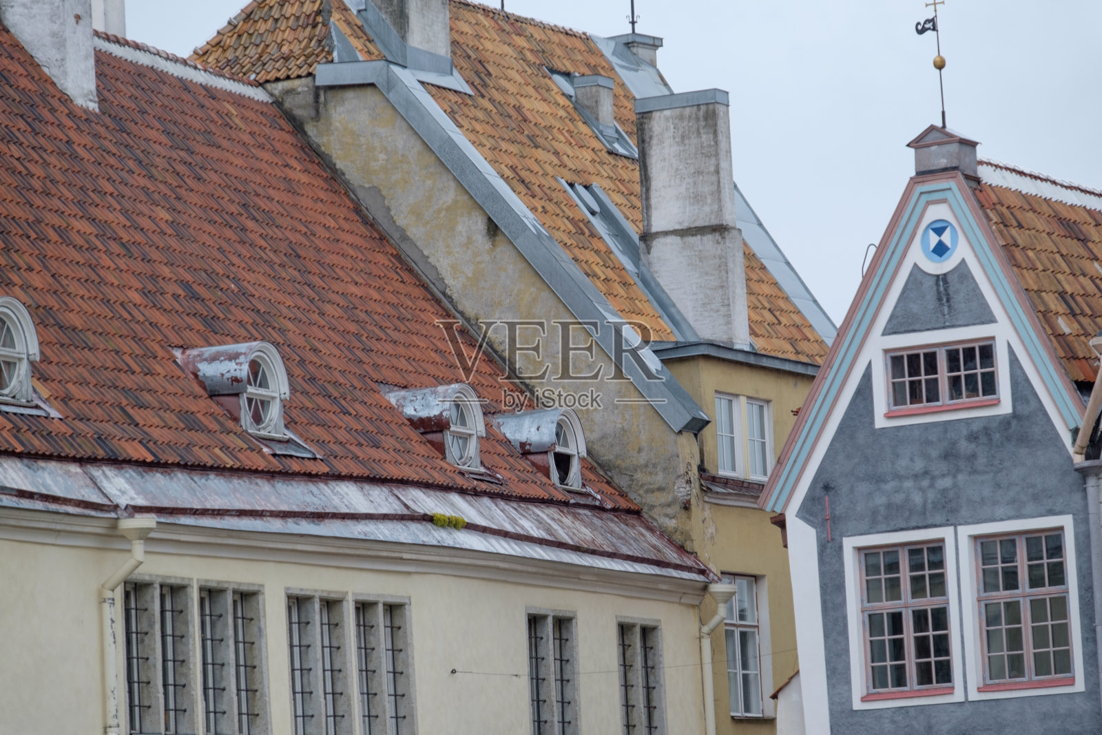 塔林市照片摄影图片