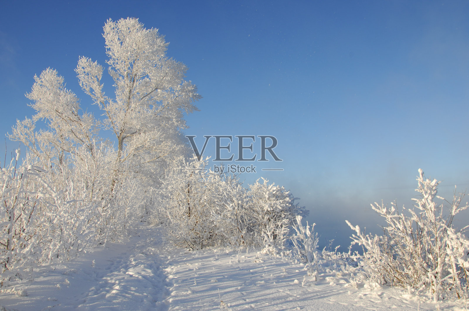 冬天,winter-tide,冬季照片摄影图片