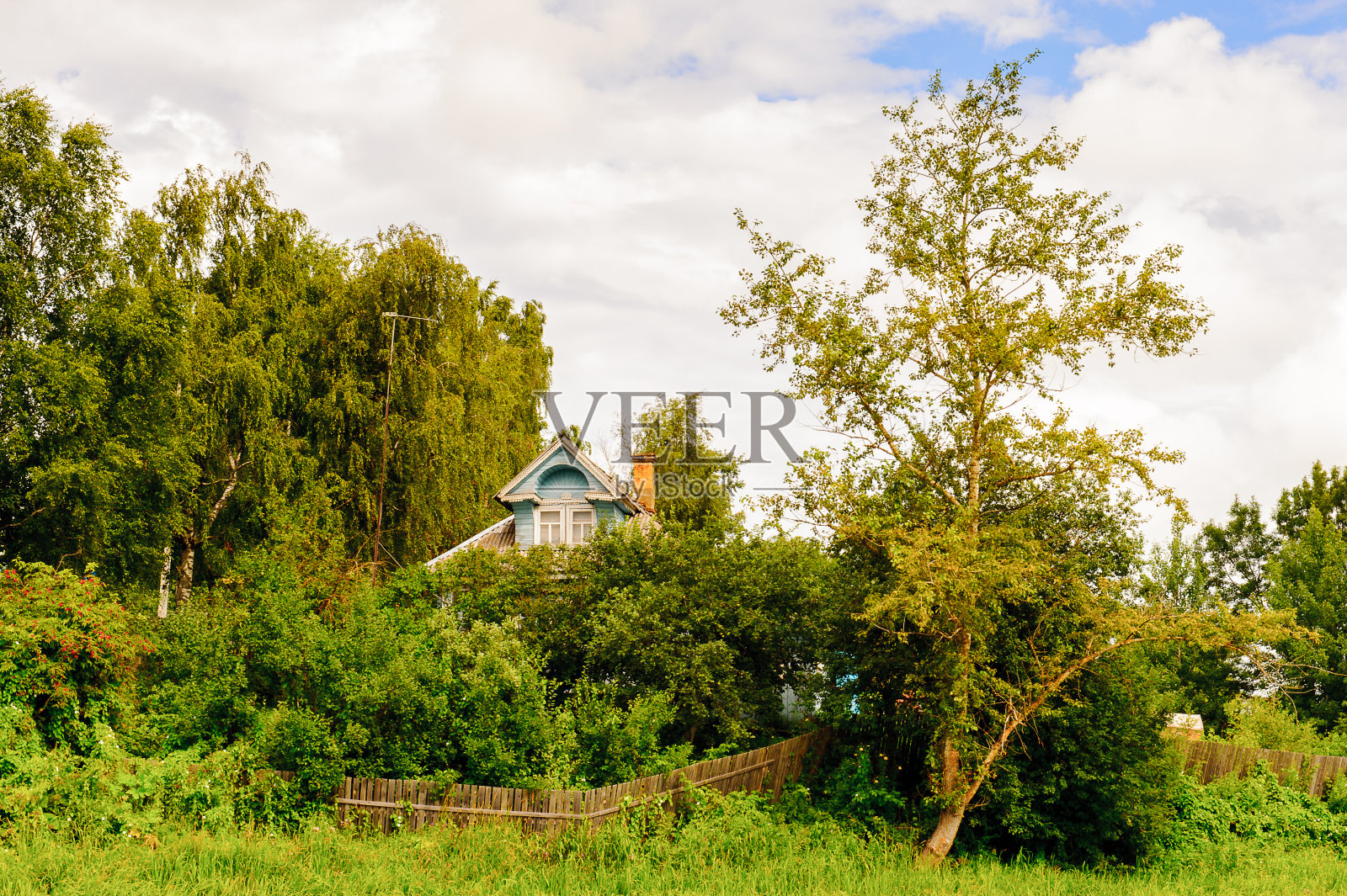 阴天的绿色自然照片摄影图片
