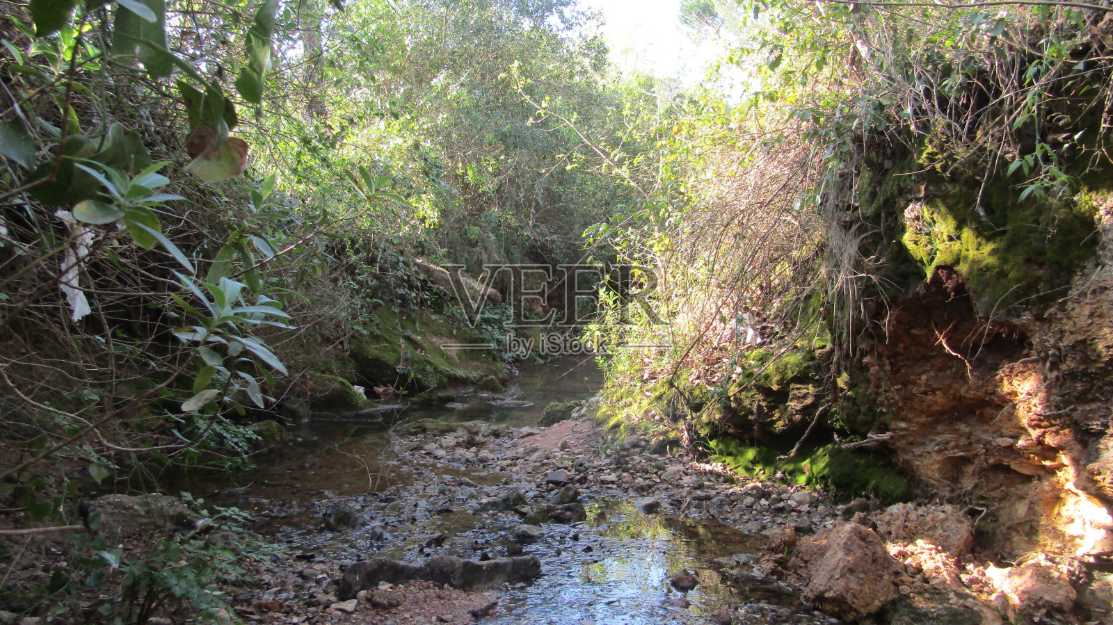 和平河畔照片摄影图片