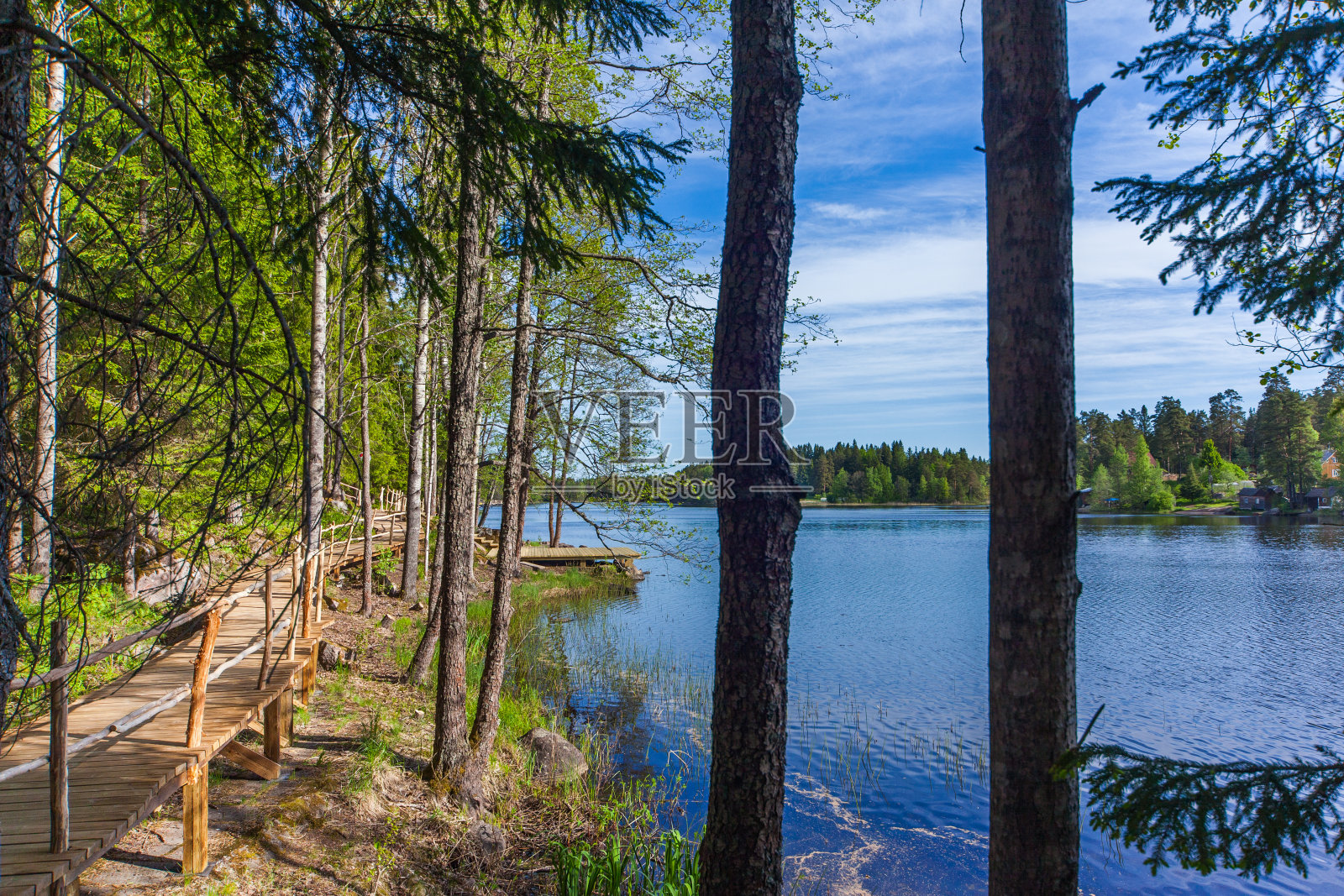 卡累利阿(Karelia)的春天森林里，湖边的木路照片摄影图片