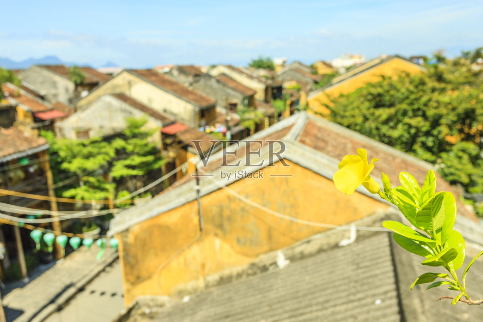 会安古镇照片摄影图片