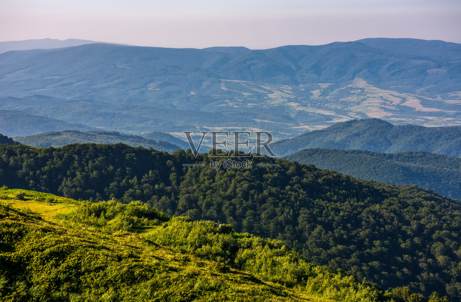 山顶俯瞰山坡上的森林照片摄影图片