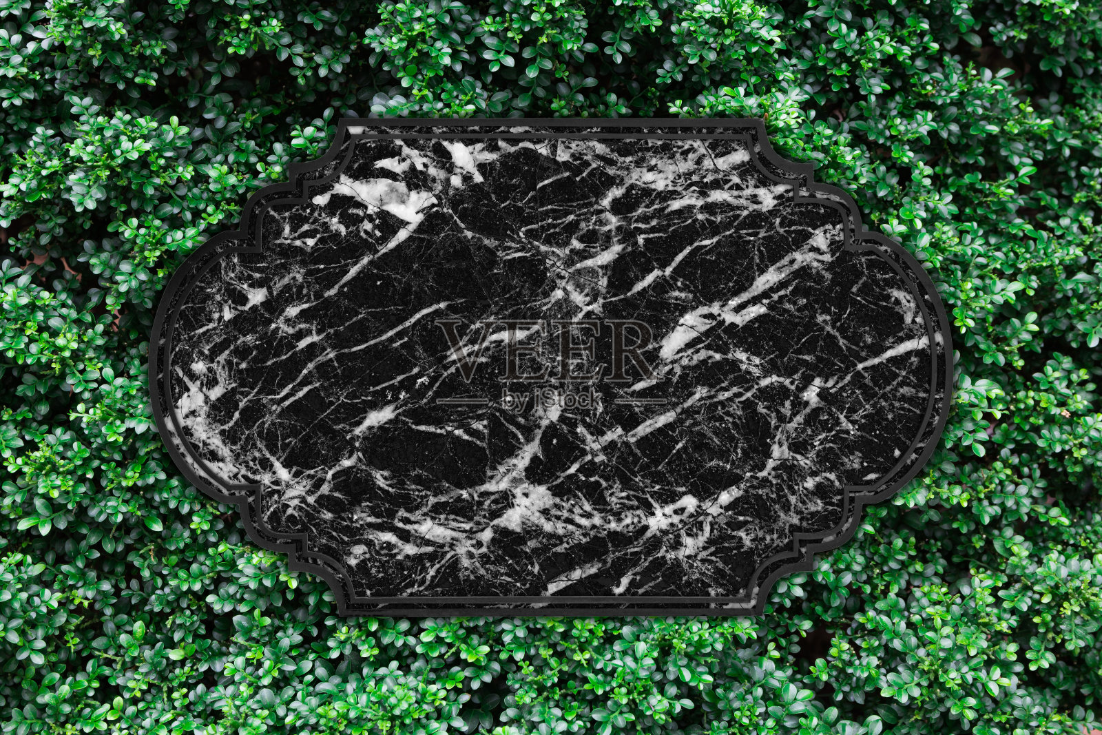 大理石纹理上的绿叶墙背景。照片摄影图片