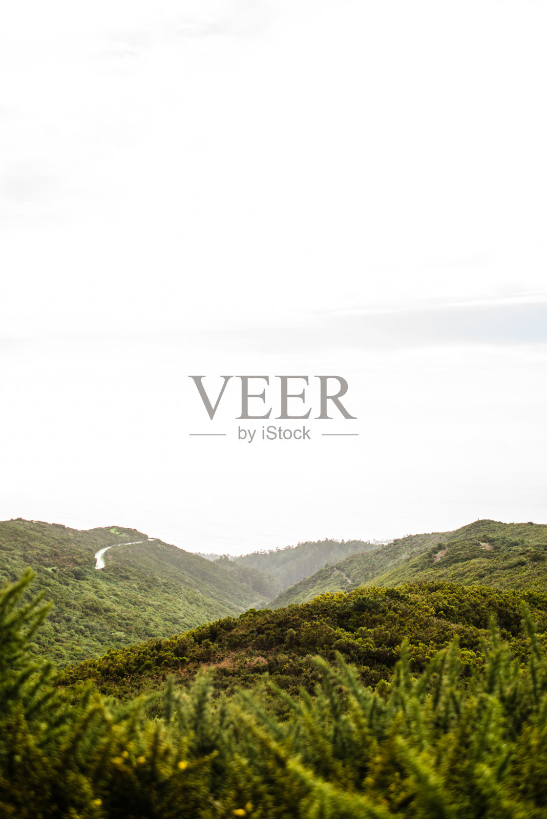 没有人类的马德拉风景照片摄影图片