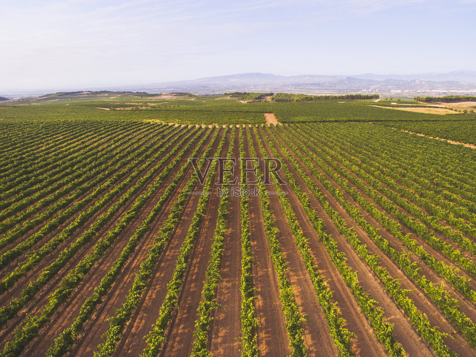从上面的葡萄园照片摄影图片