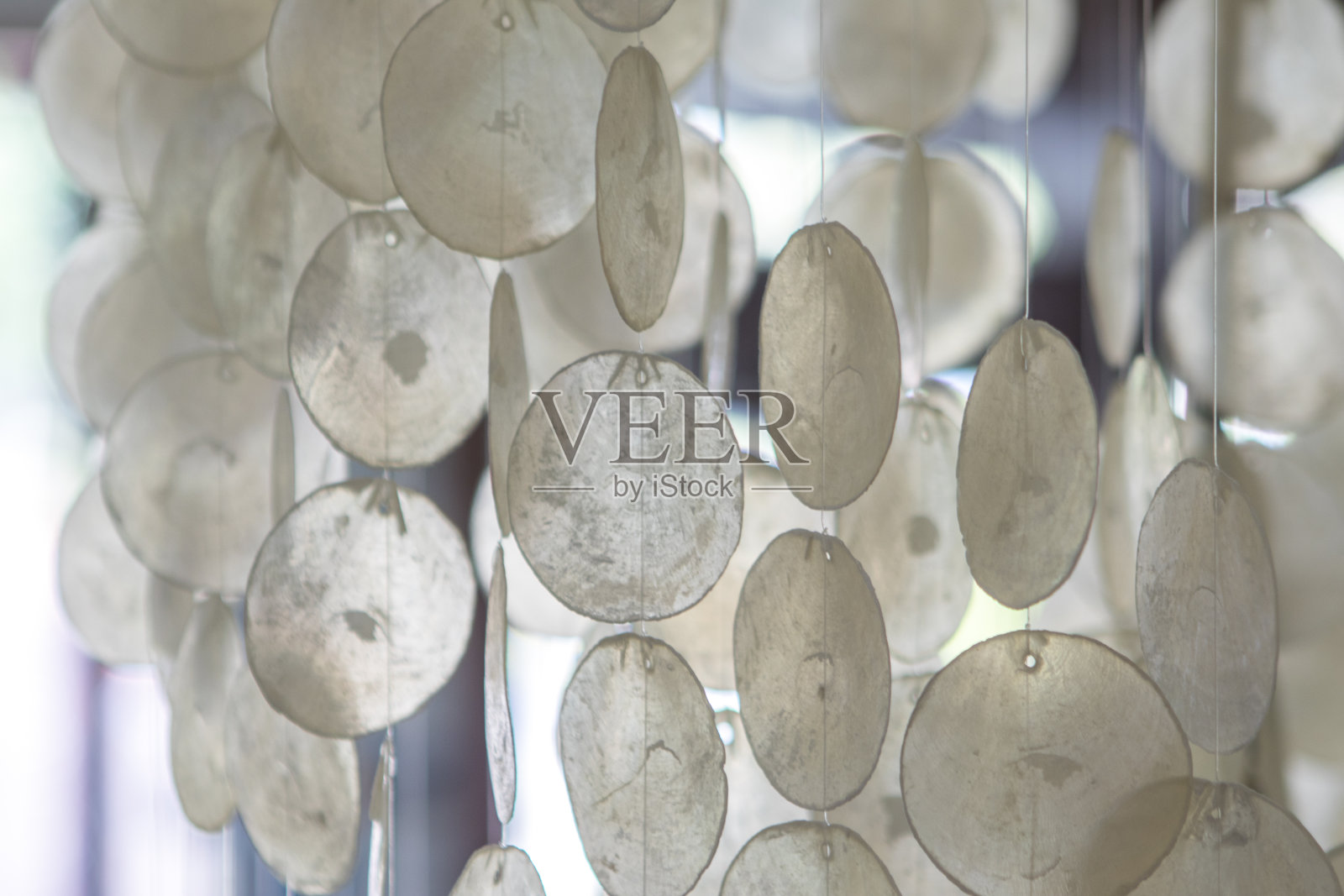 界壳照片摄影图片