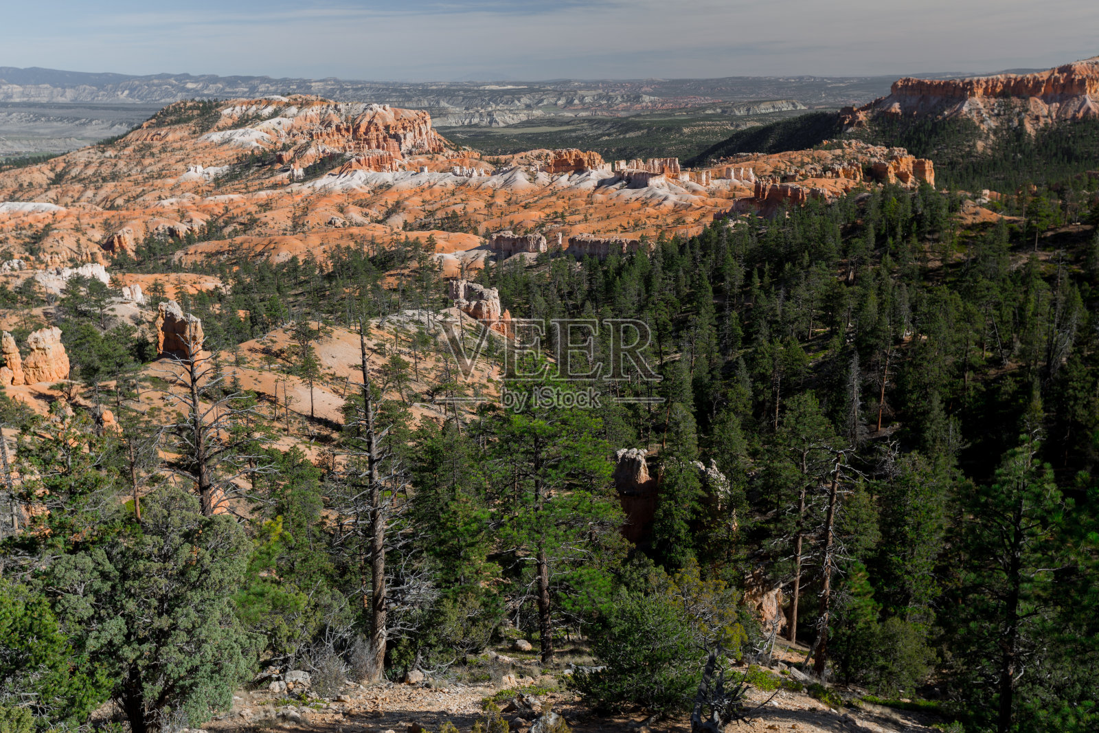 布莱斯峡谷照片摄影图片