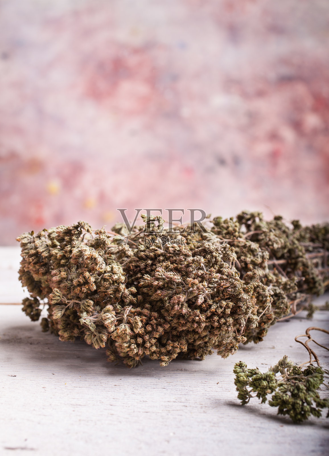 干牛至叶草照片摄影图片