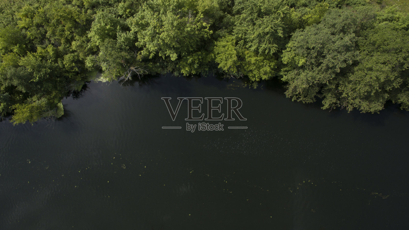 美丽森林航空摄影照片摄影图片