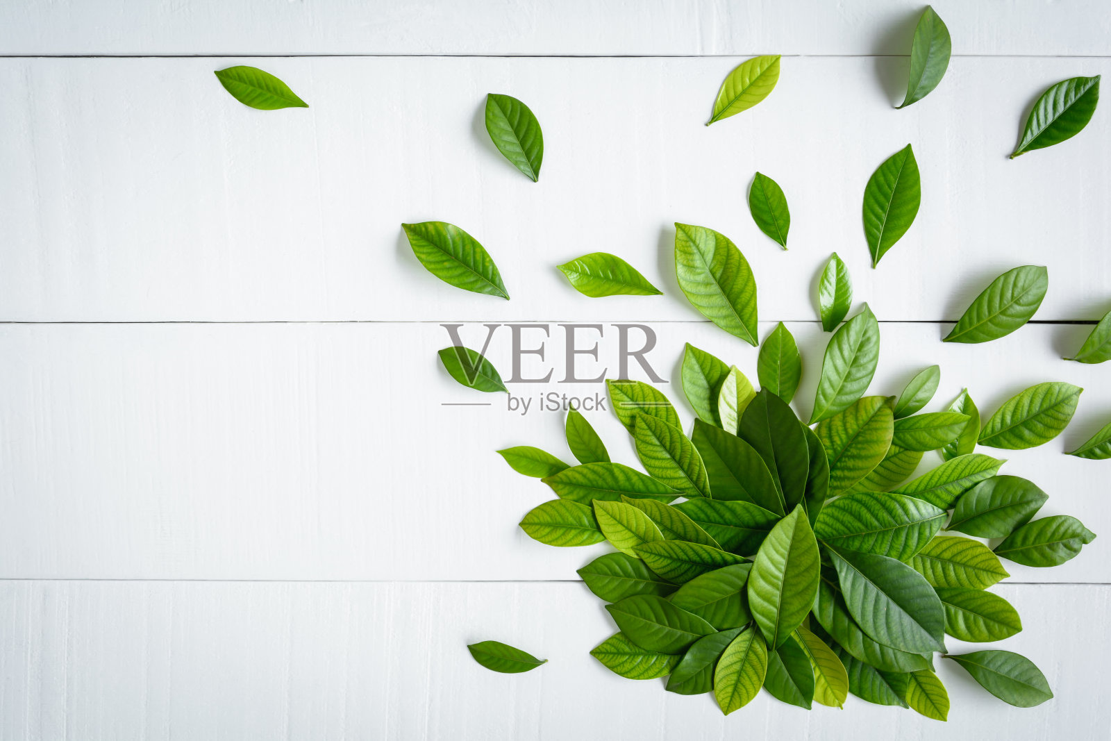 绿叶平铺在白木背景上照片摄影图片