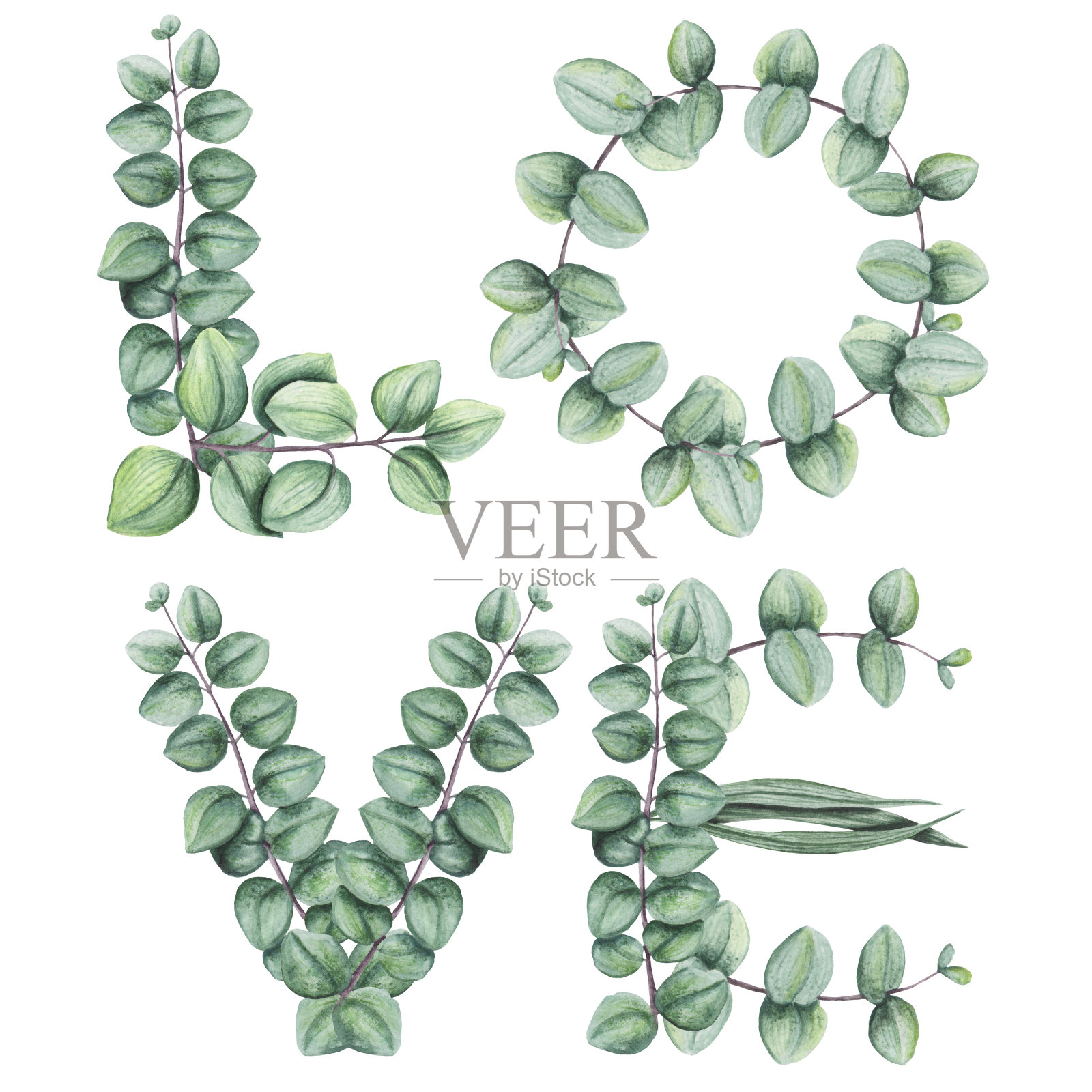 单词爱与水彩树叶和桉树插画图片素材