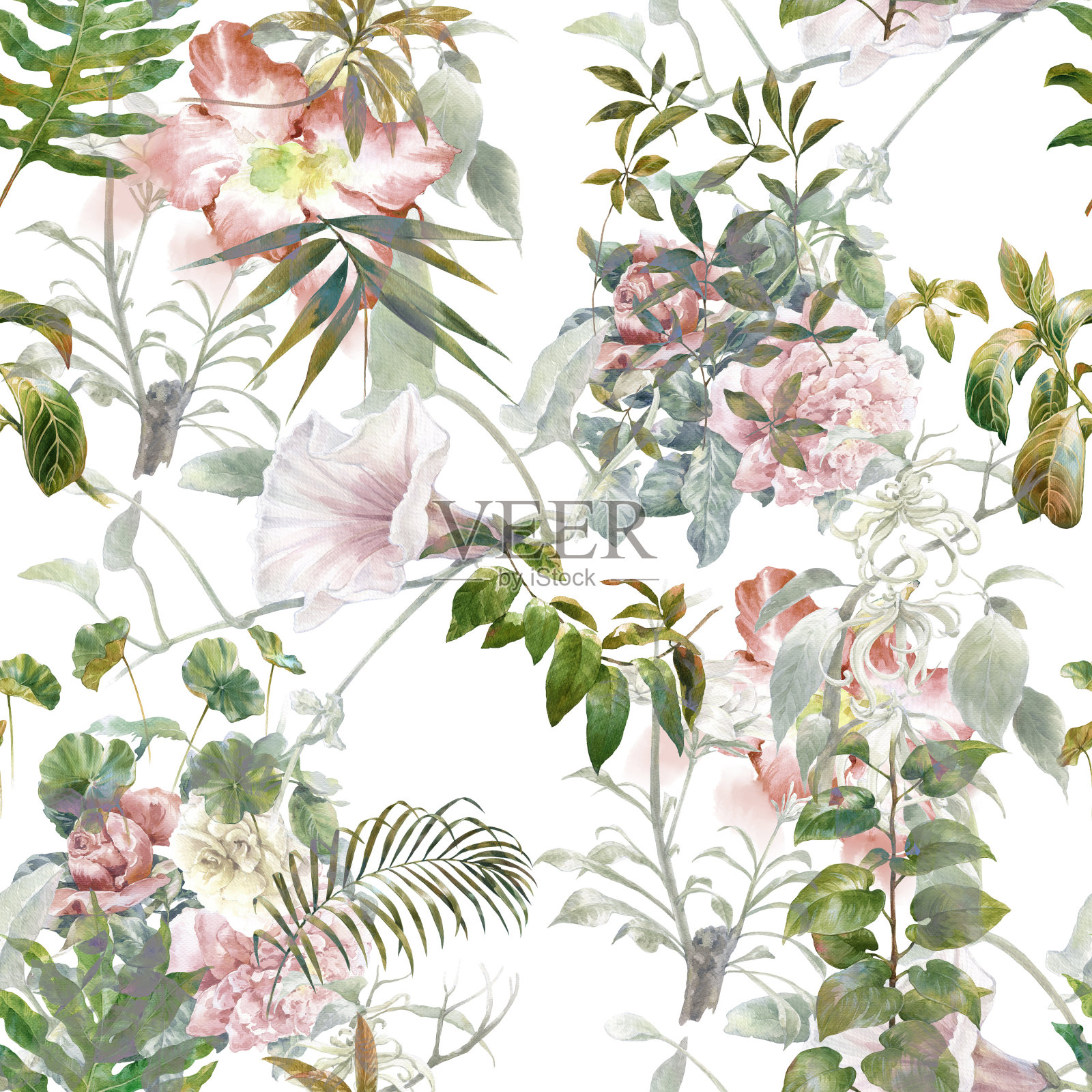 叶和花的水彩画，在白色的背景上无缝的图案插画图片素材