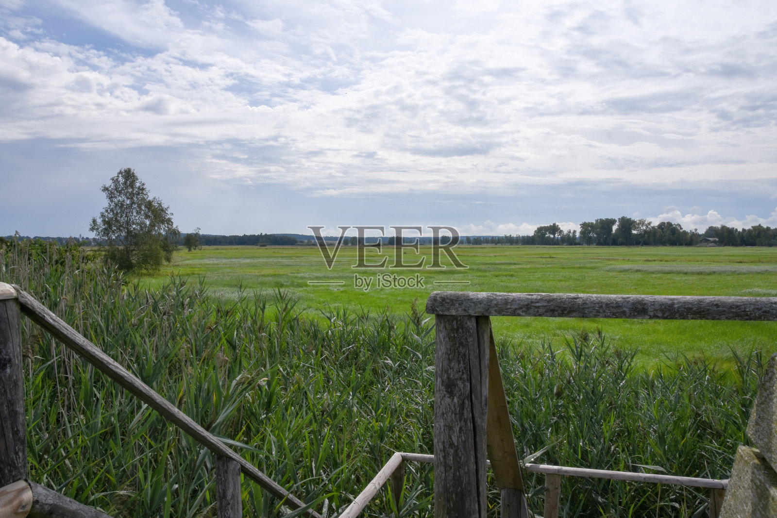 木制的观景台和长凳在德国的一个沼地地区照片摄影图片