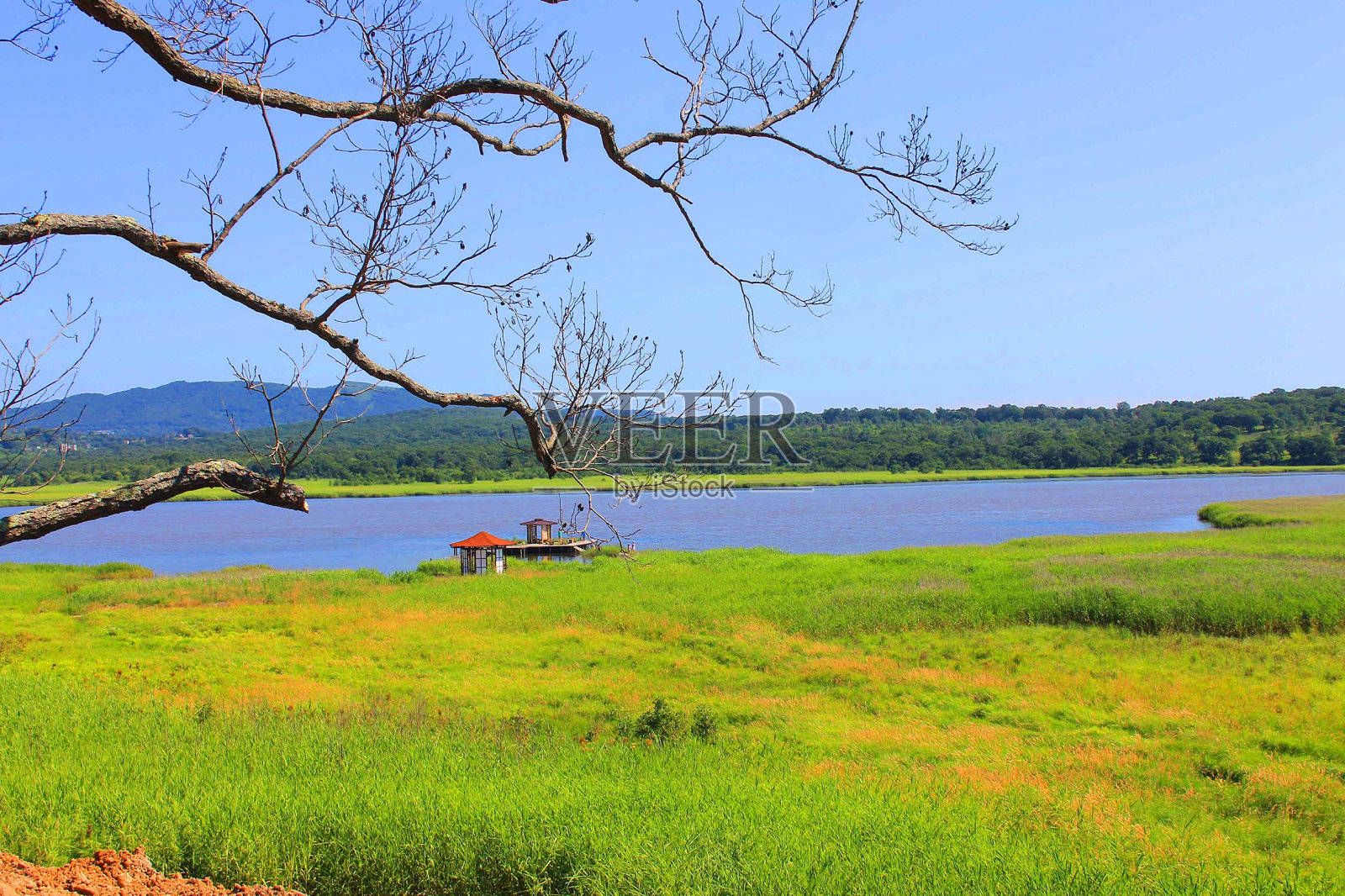 自然照片摄影图片