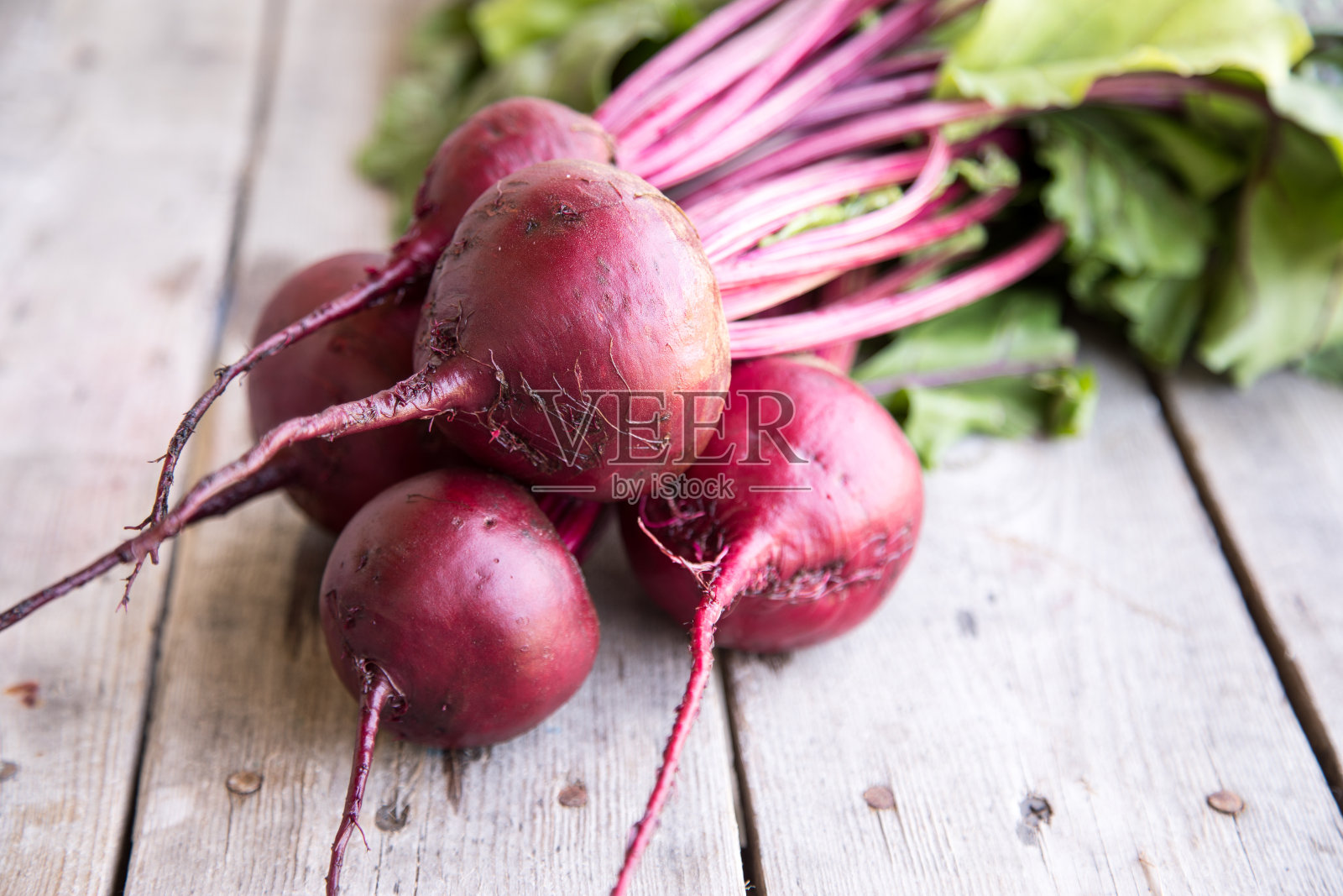 乡村背景下的香草绿叶红菜头，有机红菜头照片摄影图片