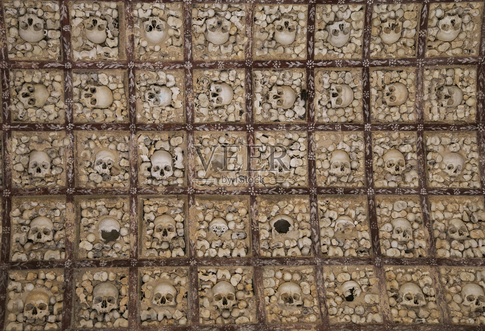 骨架教堂照片摄影图片