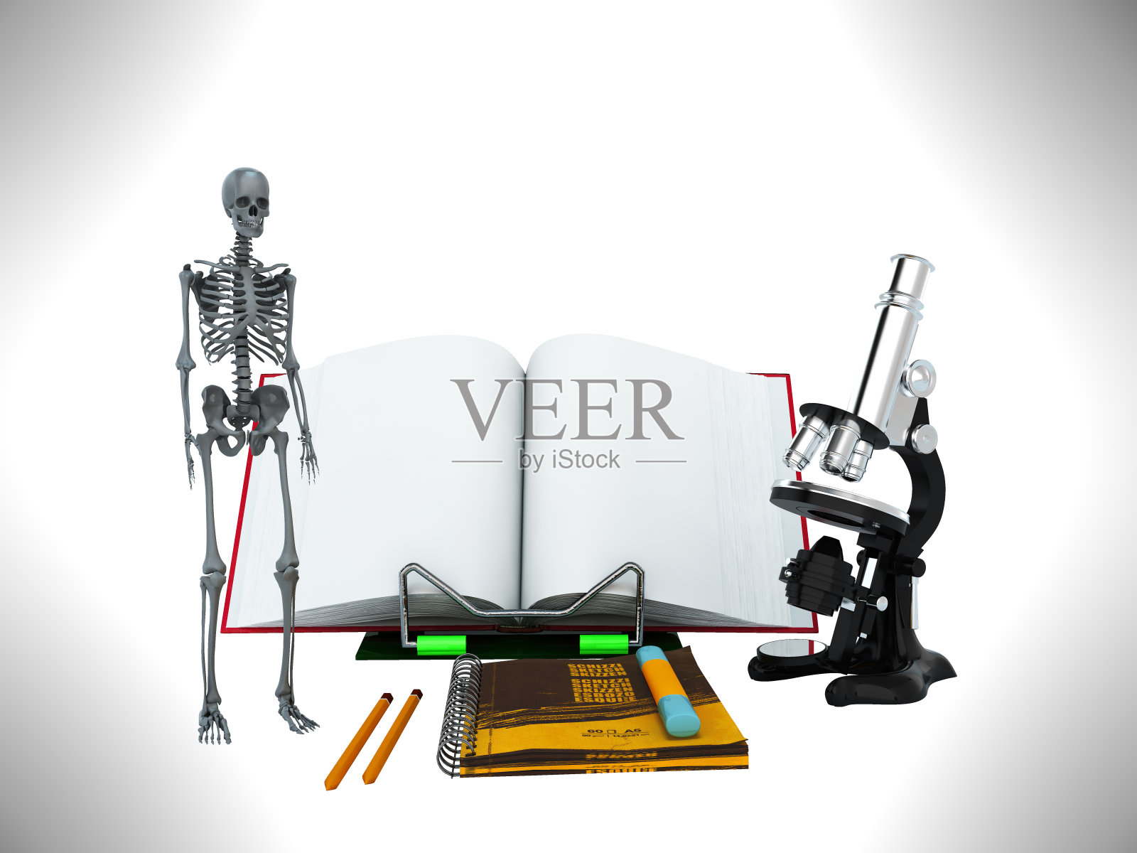 学校和教育生物学的概念在灰色背景上3d渲染照片摄影图片