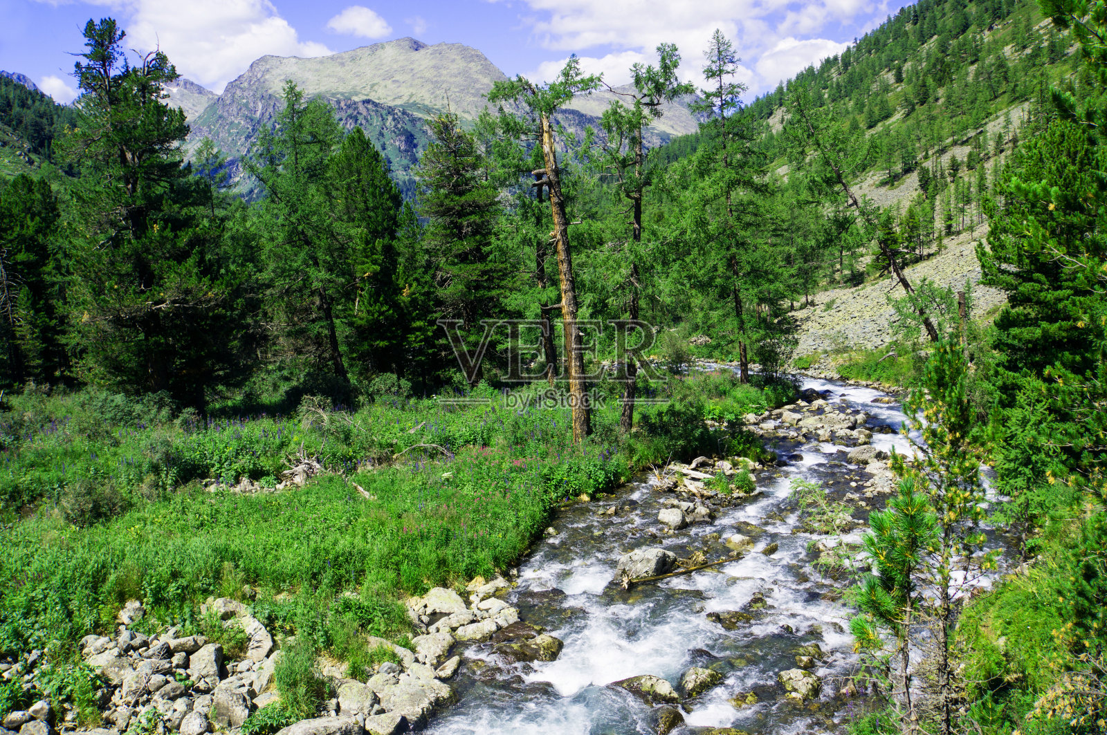 景观与山脉,照片摄影图片