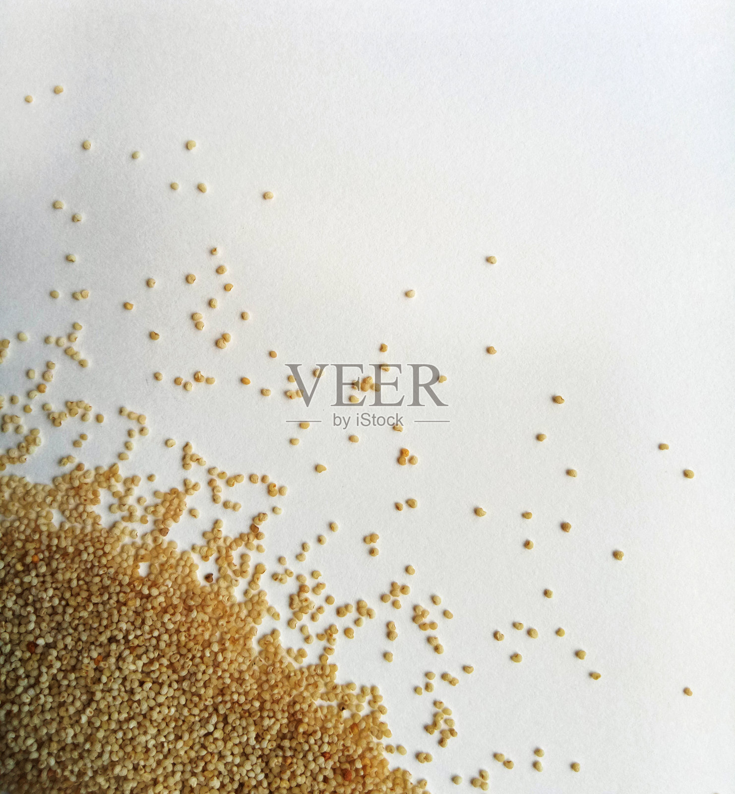 罂粟籽照片摄影图片