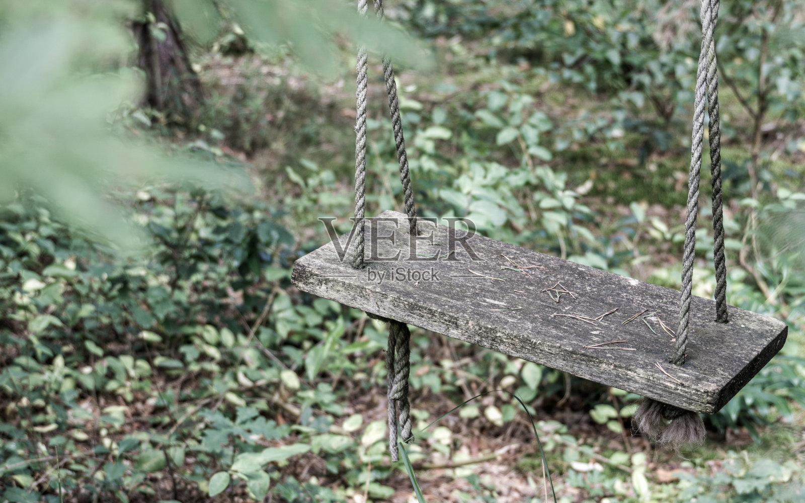 老秋千作为对童年往事的回忆照片摄影图片