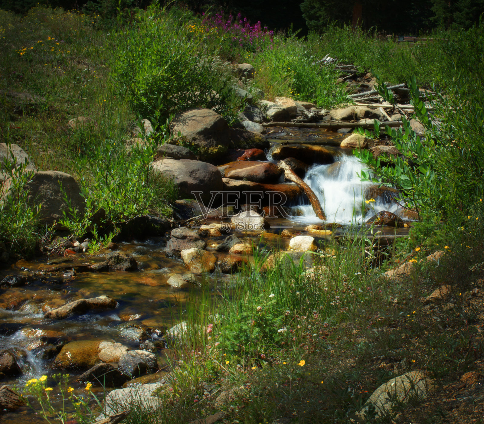 有瀑布的平静的山涧照片摄影图片