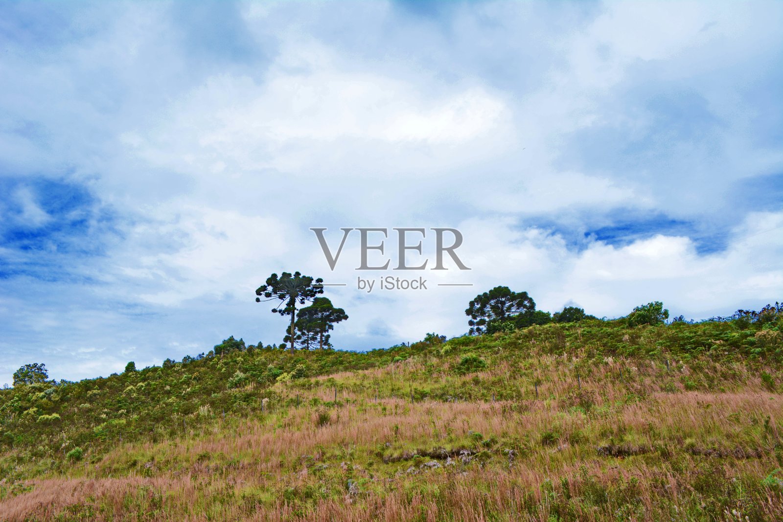 圣卡塔琳娜州风景照片摄影图片