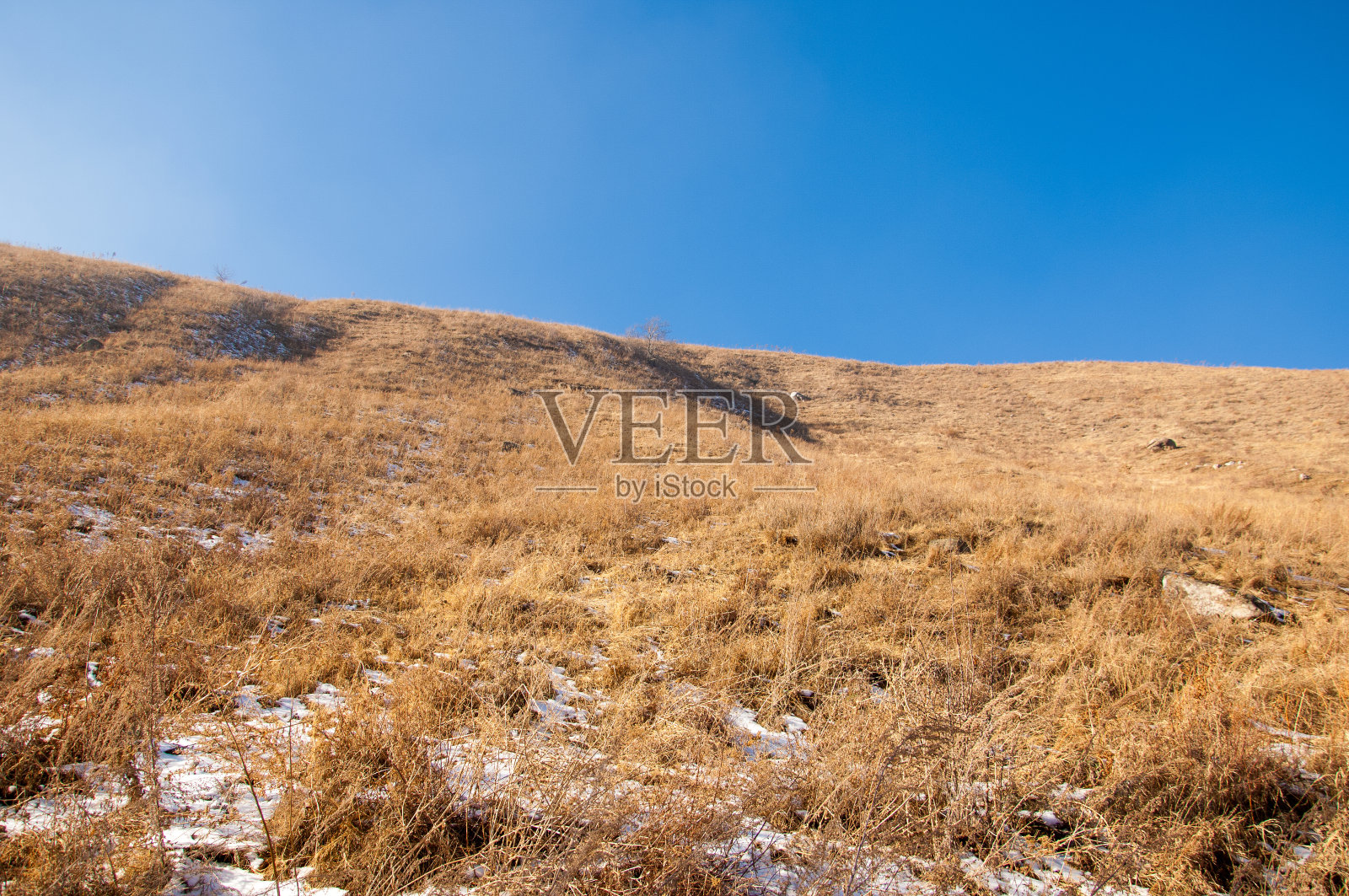 春天的泥浆照片摄影图片