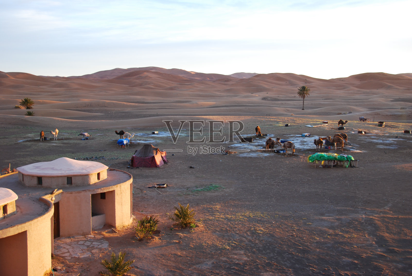 在摩洛哥，骆驼是沙漠之舟照片摄影图片