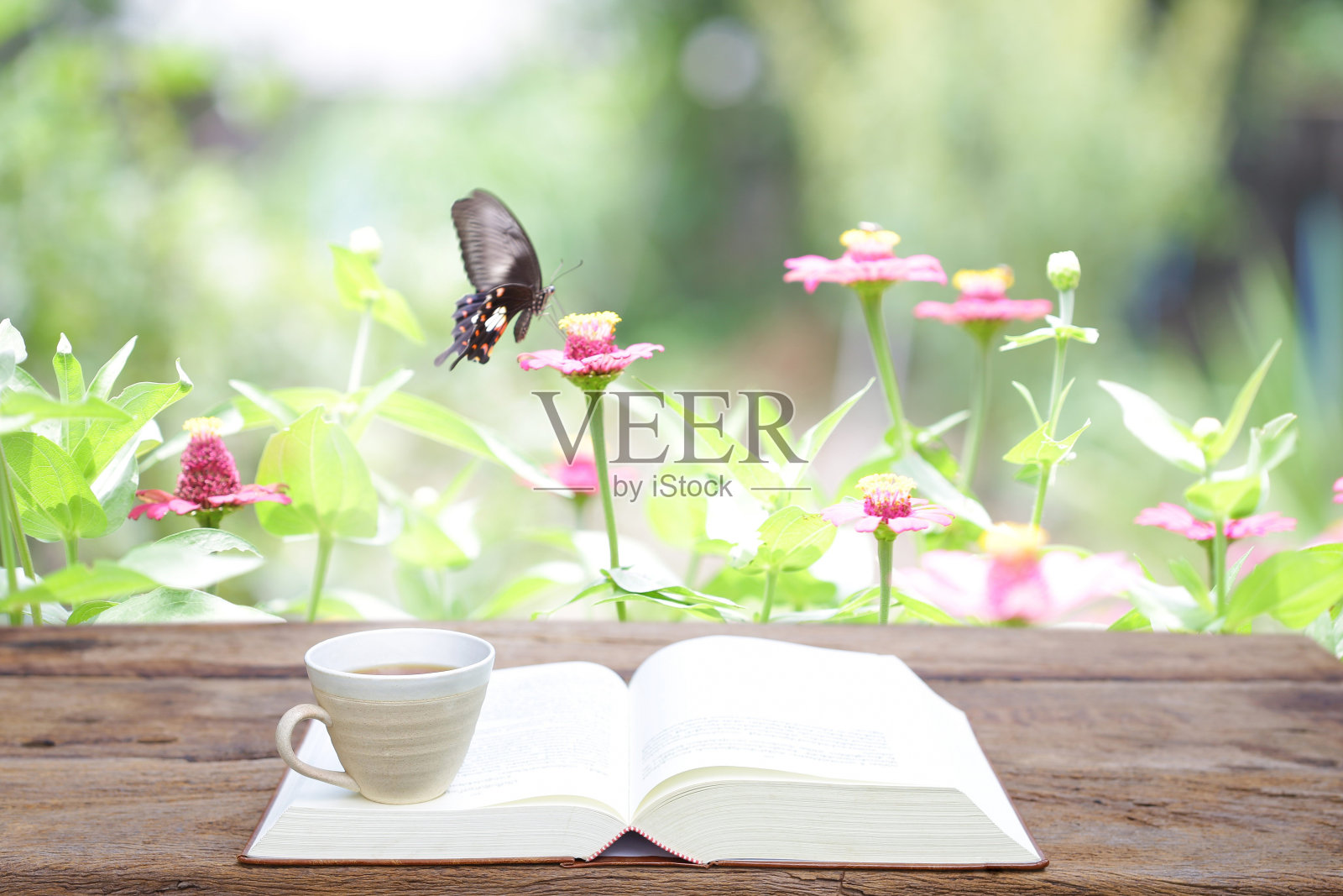 红茶，笔记本和蝴蝶照片摄影图片