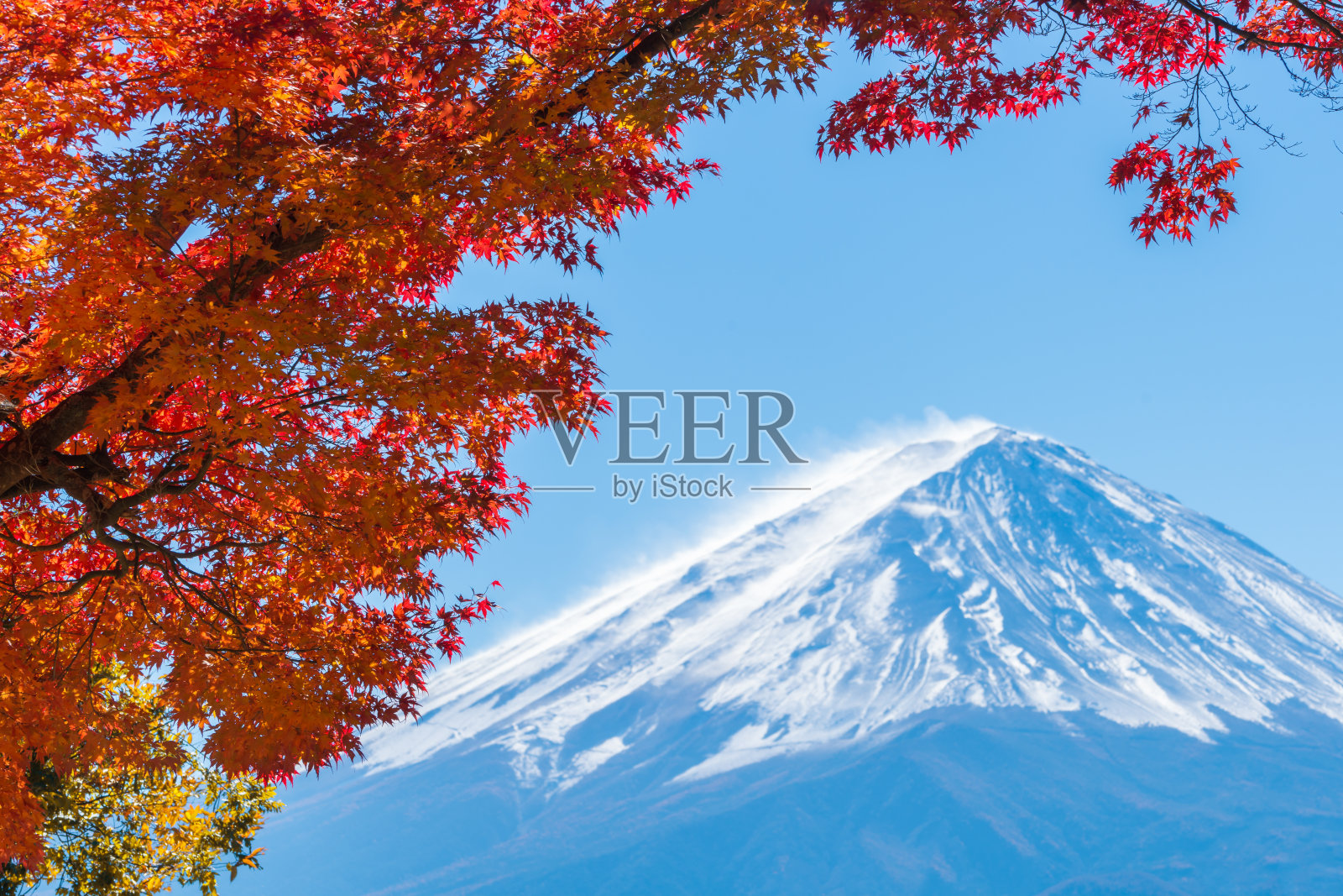 富士山秋色，日本照片摄影图片