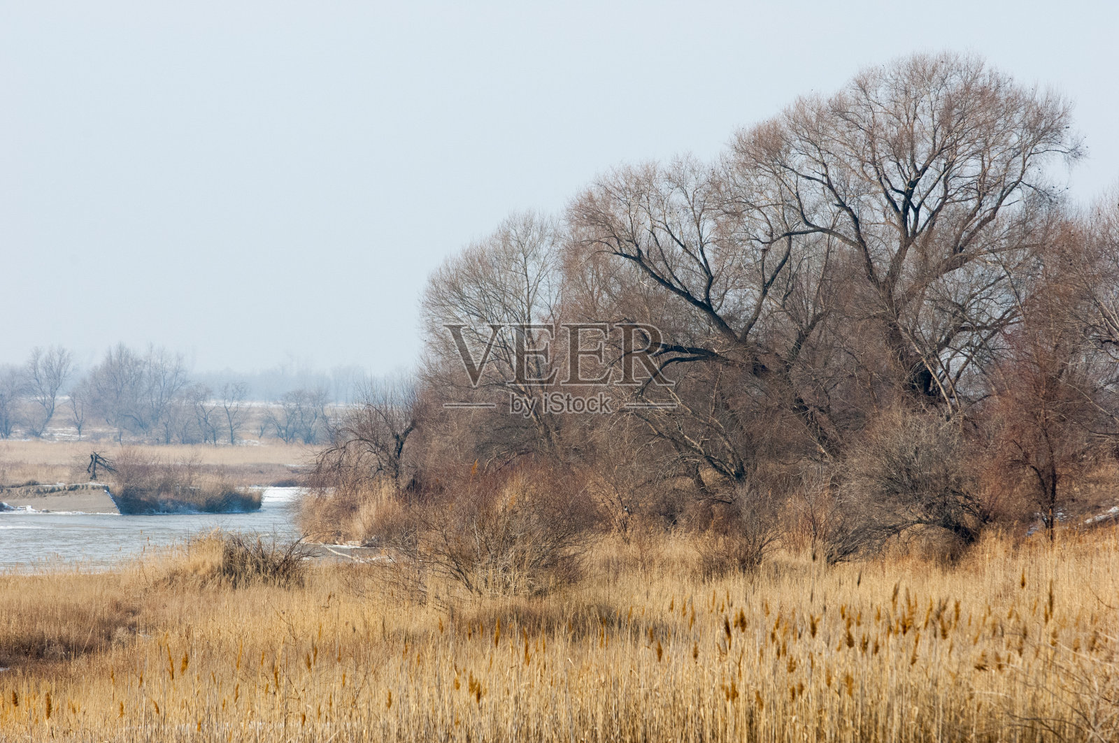 草原，草原，田野，田野照片摄影图片