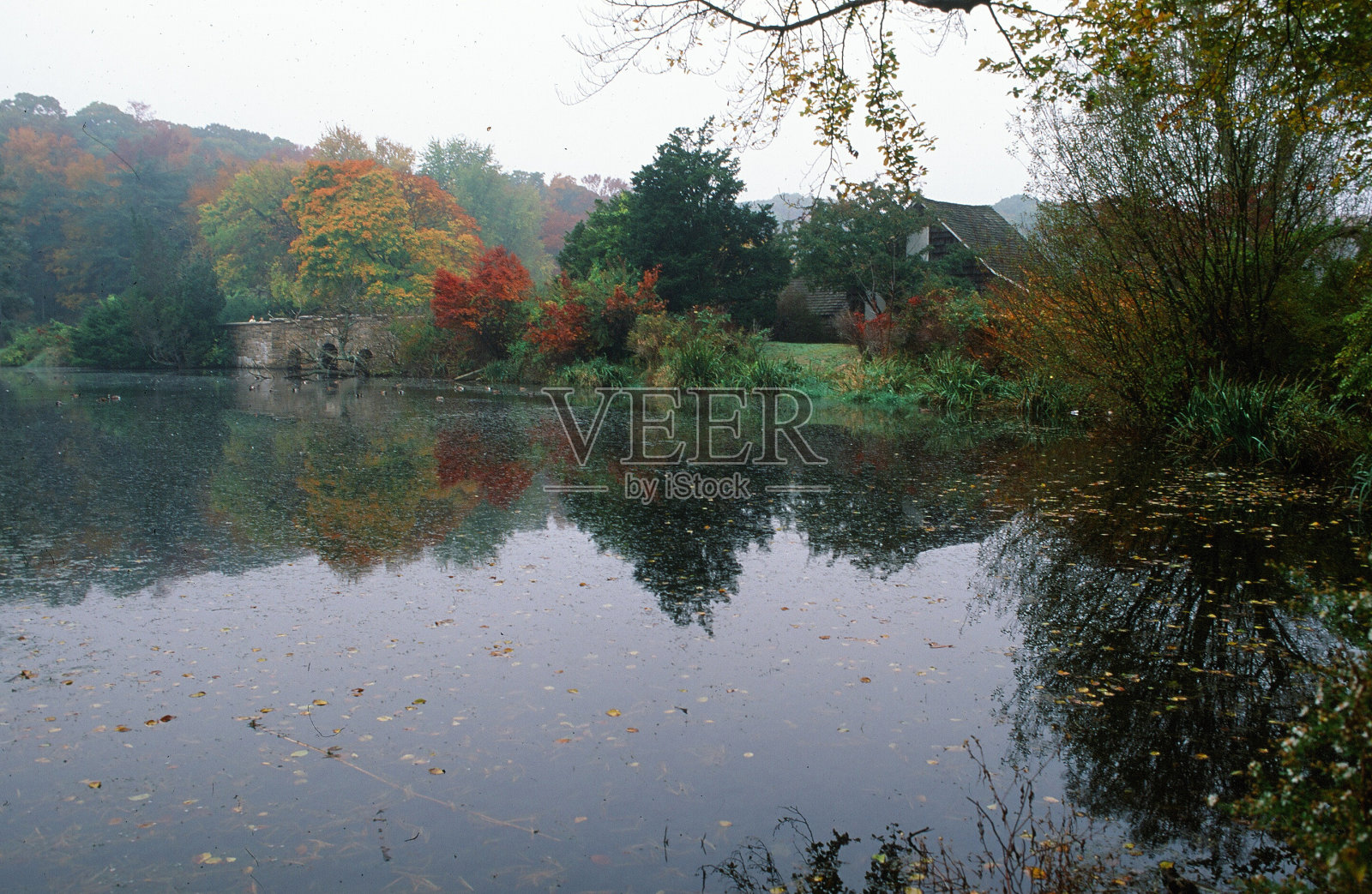 10月的魅力照片摄影图片