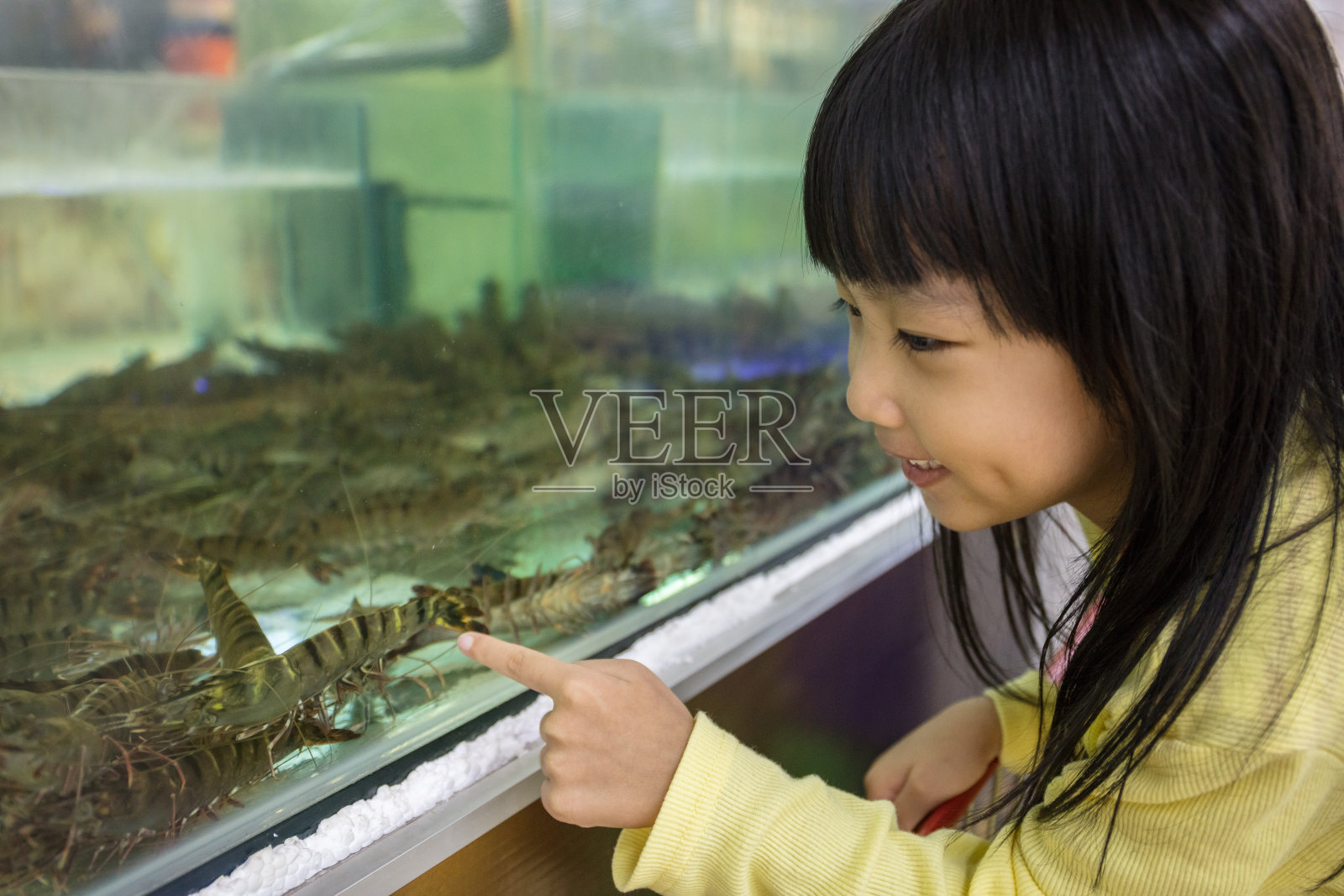 中国女孩看对虾照片摄影图片