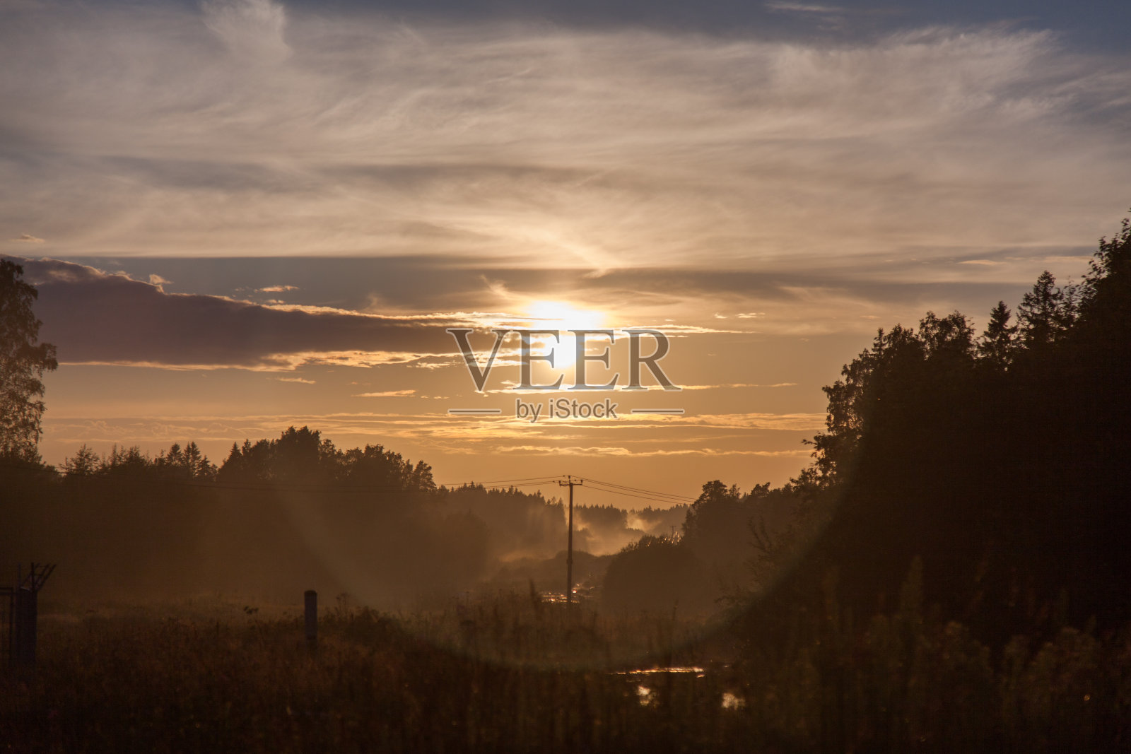 日落在森林的森林照片摄影图片