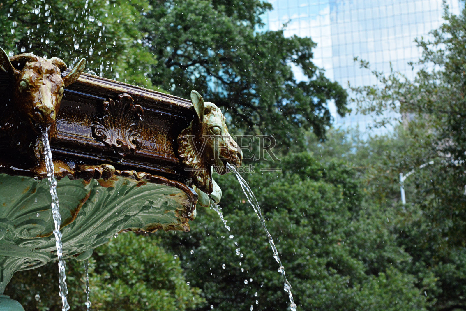 德州休斯顿公园的古老喷泉照片摄影图片